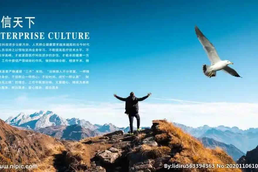 天下足球网赛事分析栏目改版：从数据到战术的阅读路径
